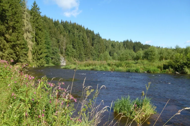 Naturschutz in Oberfranken