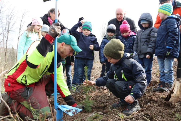 Geroldsgrüner Kinder pflanzen Bäume