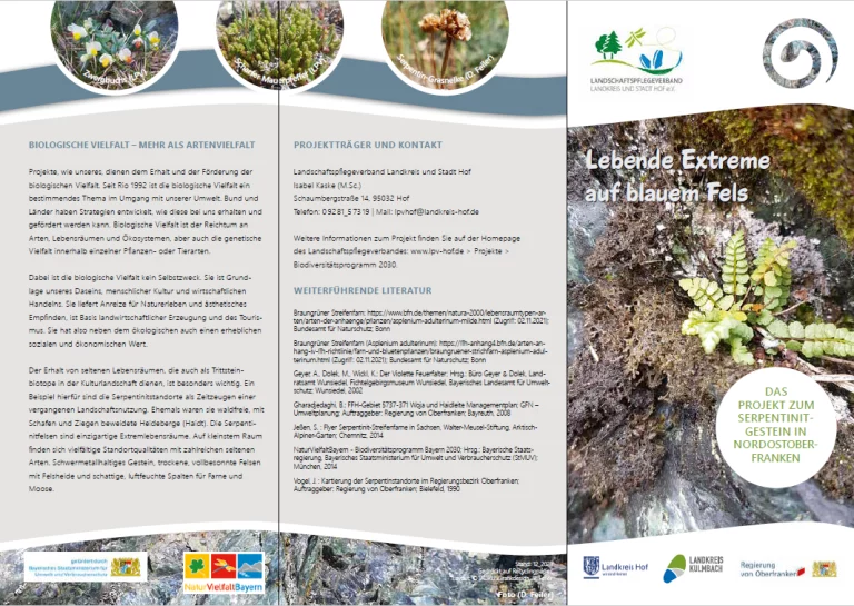 Serpentinit: Neuer Flyer des LPV informiert über seltenen Lebensraum