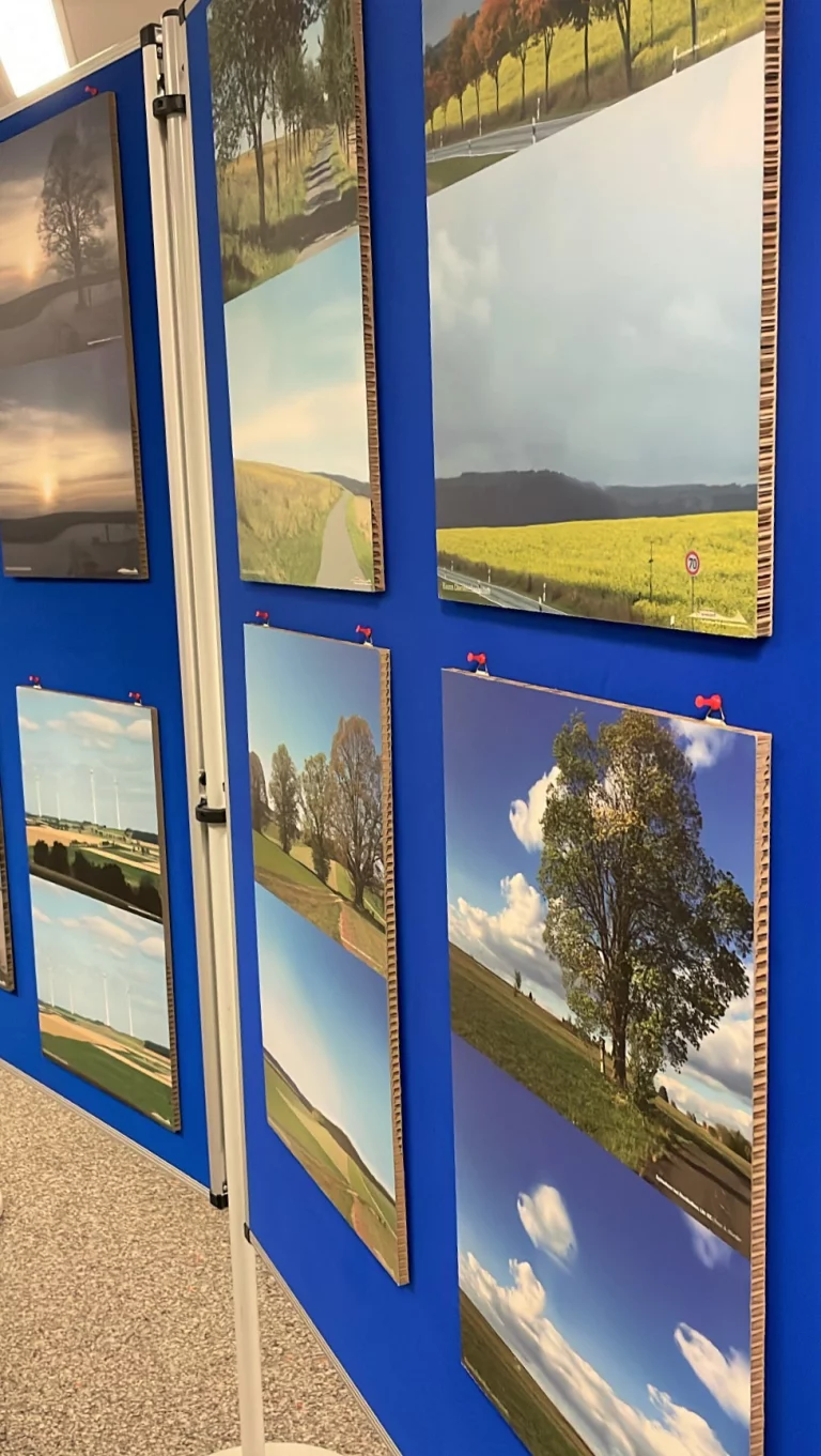 Ausstellung „Fränkisch verwurzelt“ – Bäume.Charakter.Landschaft