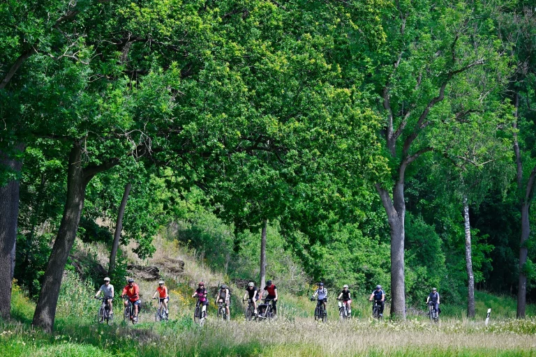 STADTRADELN: Feierabendradtour nach Sachsen