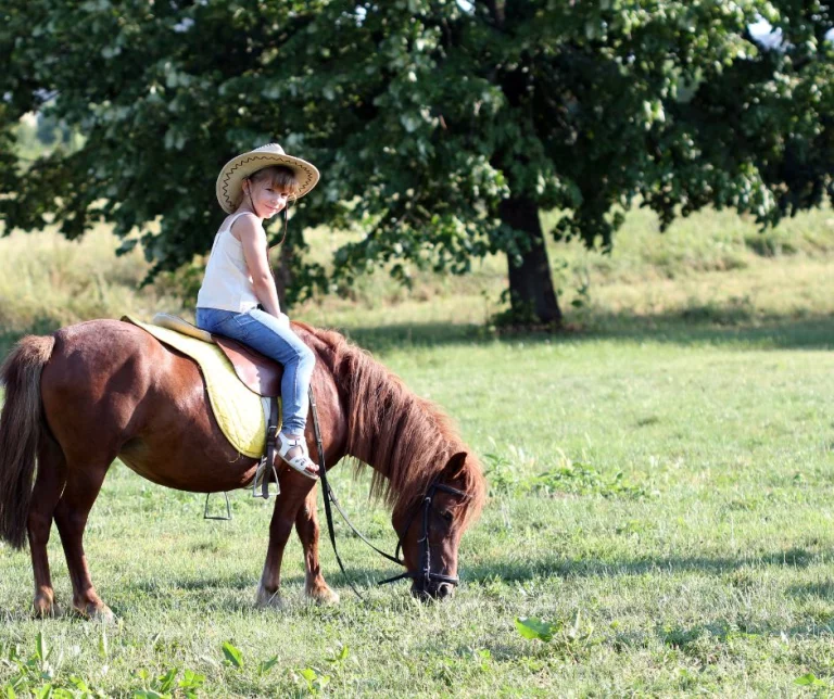 Kind mit Strohhut reitet auf einem Pony auf einer Wiese