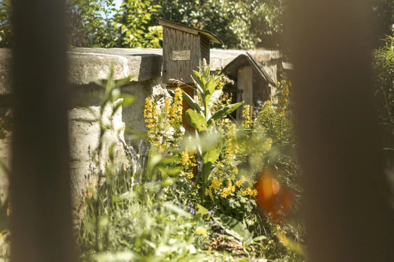 Insektenhotel und blühende Wildpflanzen in einem Garten, im Vordergrund ein Holzzaun
